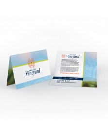 Full Color Folded Business Cards 